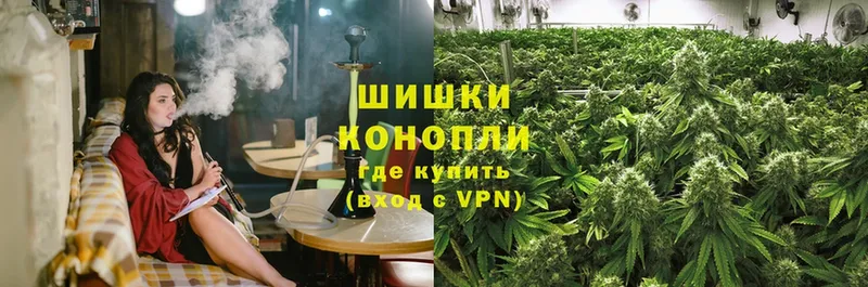 где можно купить наркотик  Октябрьский  МАРИХУАНА SATIVA & INDICA 